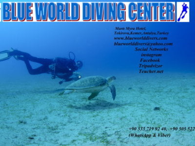 Дайвинг с Blue World Diving Center