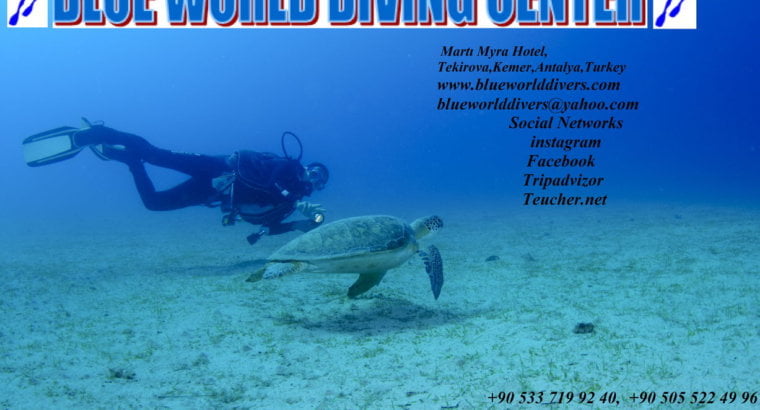 Дайвинг с Blue World Diving Center