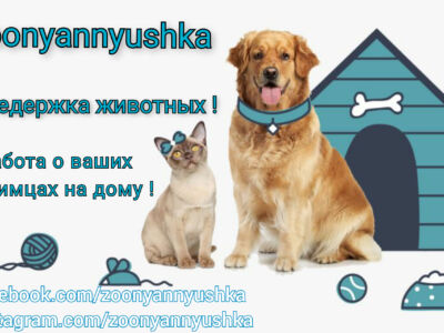 Передержка животных в Анталии ( zoonyannyushka )