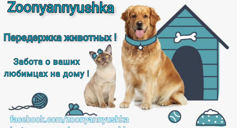 Передержка животных в Анталии ( zoonyannyushka )