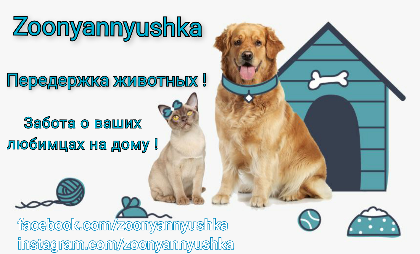 Передержка животных в Анталии ( zoonyannyushka ) | Русская Турция