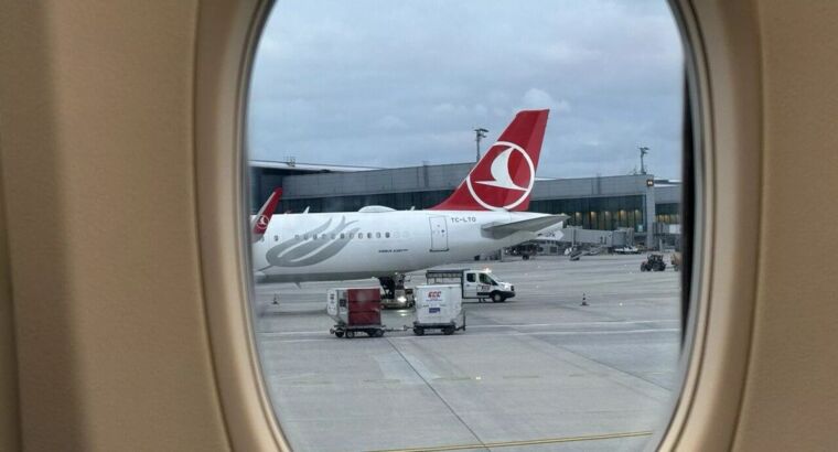 Турбулентность на рейсе Turkish Airlines: бортпроводник получил травму