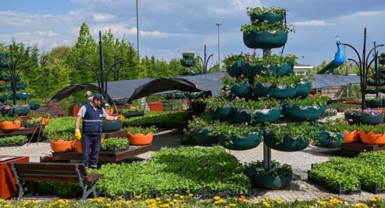 395 тысяч цветочных садов открывают свои двери для посетителей