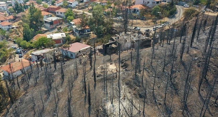 В Измире и Манисе оценили ущерб от лесных пожаров