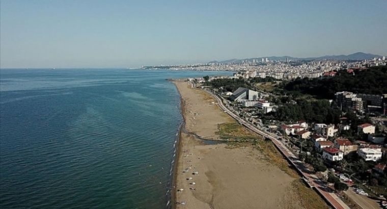 Влияние температуры морской воды на бедствия в Черном море