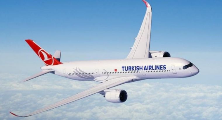 Самый дорогой билет Turkish Airlines