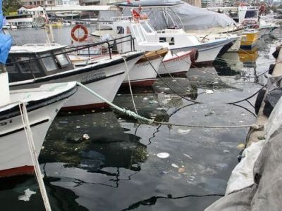 Пластиковый мусор угрожает жизни в Черном море: эксперты предупреждают о катастрофических последствиях