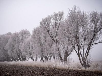 Самая низкая температура октября зафиксирована в Эрзуруме