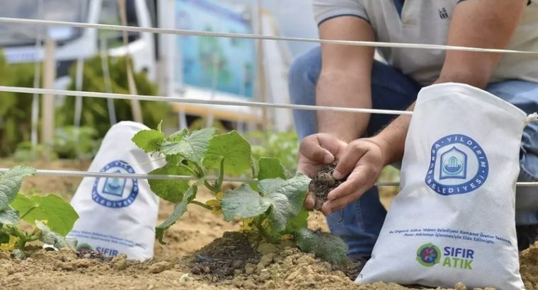 В Турции планируют перерабатывать черноморские водоросли в биопластик